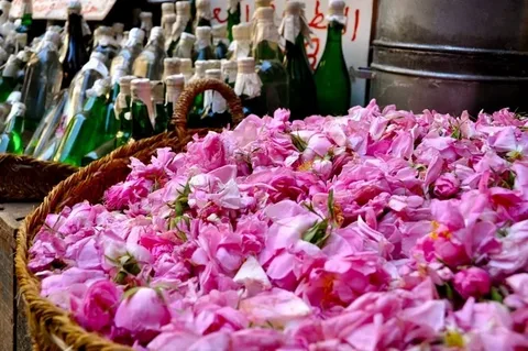 تصویر 2 از قیمت خرید عرق گلاب سه آتیشه + فروش ویژه